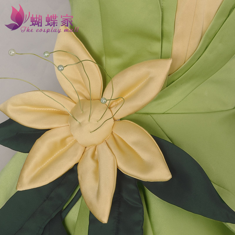 Prinses Tiana Jurk Cosplay Kos - Men Accessories Kit recensie en prijs
